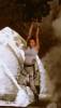 Tomb Raider