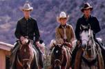 Todos los caballos bellos