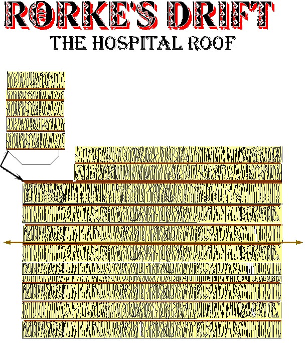 Hospital roof