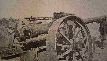 Old Field Guns