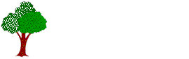 shakeit.gif (31335 bytes)