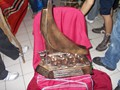 dscn4533