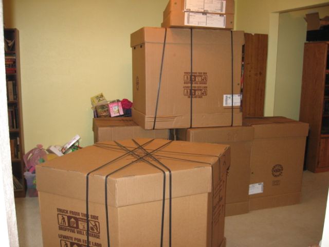 June 25 - some of the many boxes