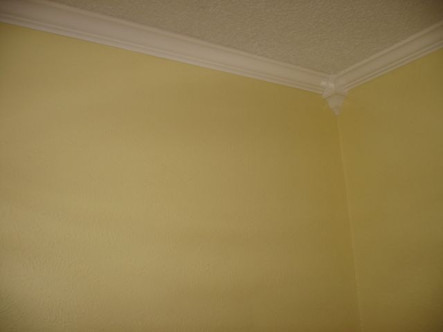 July 13 - new crown molding in the living room