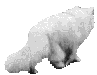 Pajarraco &%"���*+?=>@#;/\.)#|\)