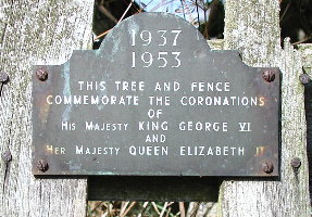 plaque