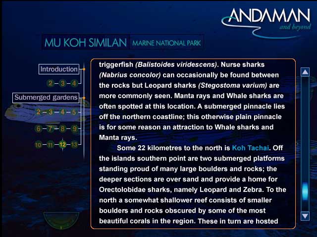 Andaman and beyond