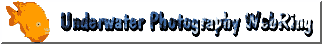 uwring.gif (4918 bytes)