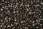 beans