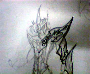 sketch, only traced part of it