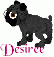 Desiree, female puppy. Pug/Jack Russel