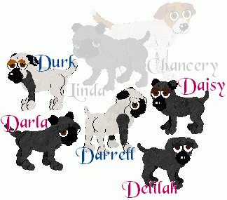 LClitter -Pug/Jack Russell
