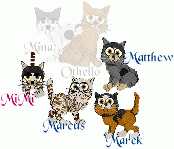 MOlitter -Japanese Bobtail/Tabby