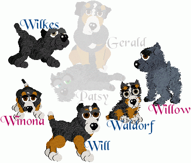 PGlitter, Scottie/Greater Swiss Mountain Dog