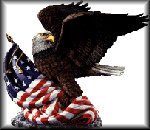 /user/eagle1.jpg