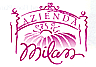 AziendaMilan