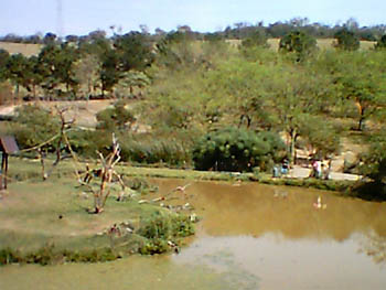 mbzooparque006