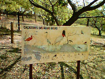 mbzooparque012