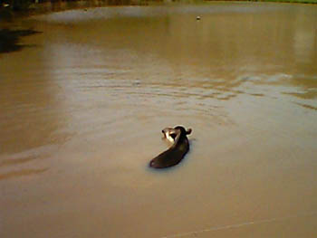 mbzooparque016