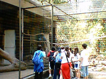 mbzooparque020
