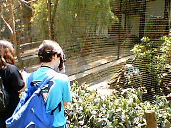 mbzooparque024