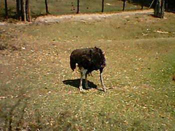 mbzooparque026