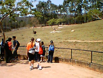 mbzooparque028