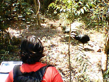 mbzooparque029
