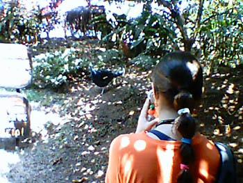 mbzooparque038