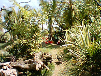 mbzooparque044