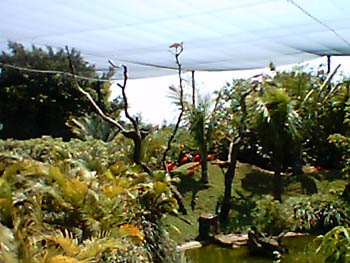 mbzooparque045