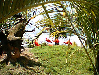 mbzooparque050
