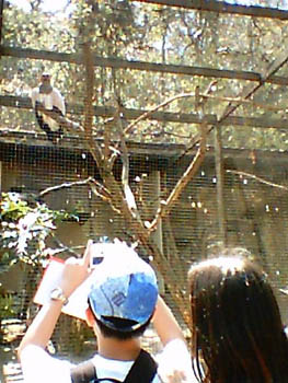 mbzooparque060