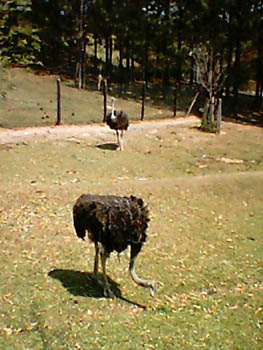 mbzooparque061