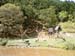 mbzooparque013