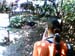 mbzooparque038