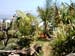 mbzooparque039