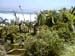 mbzooparque043