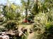 mbzooparque044