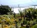 mbzooparque045