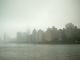 NY spookie view