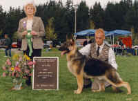 schubertpup.jpg (53660 bytes)