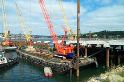 Different cranes
