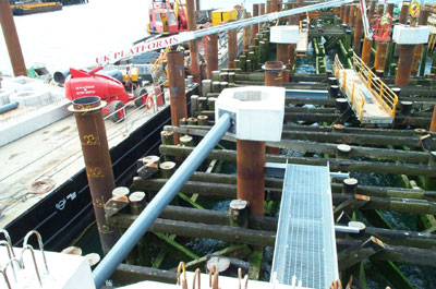 Building the new Queen's Wharf