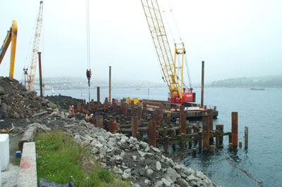 New Piles