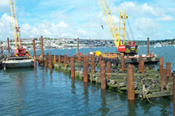The old and new piles