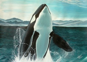 Killerwhale, acrylic, 2006.