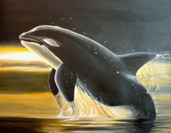 Killer Whale