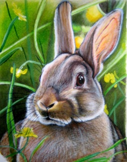 Color pencils, 2006.