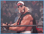 Hulk Hogan (Terry Bullea)